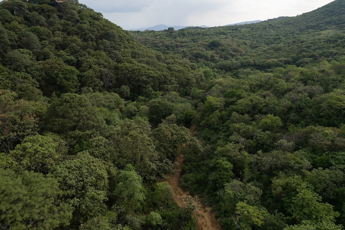 Villa Luna Tepoztlán & Morelos