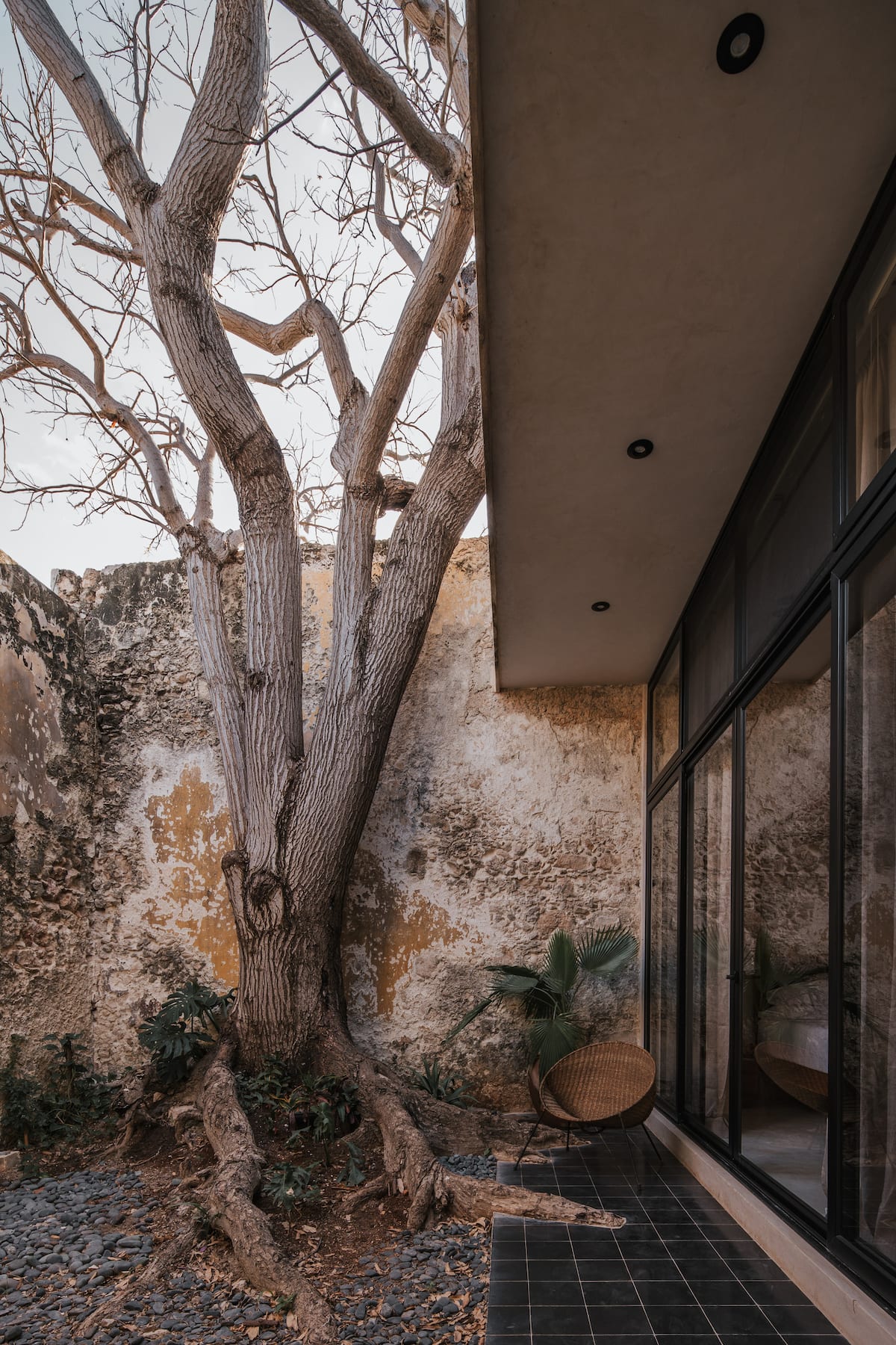 Casa Zotz Merida & Yucatan