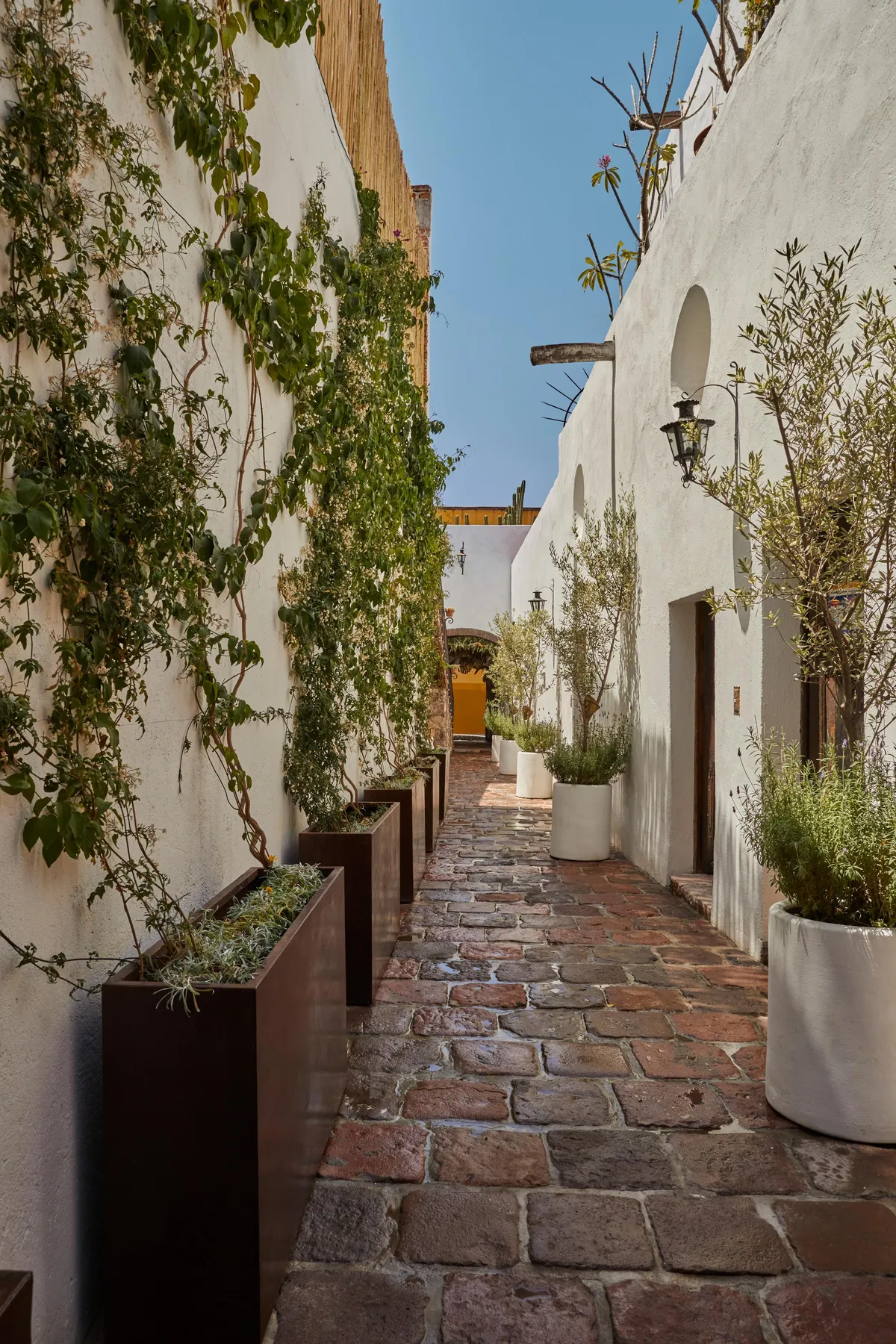 Meson Hidalgo San Miguel & Guanajuato