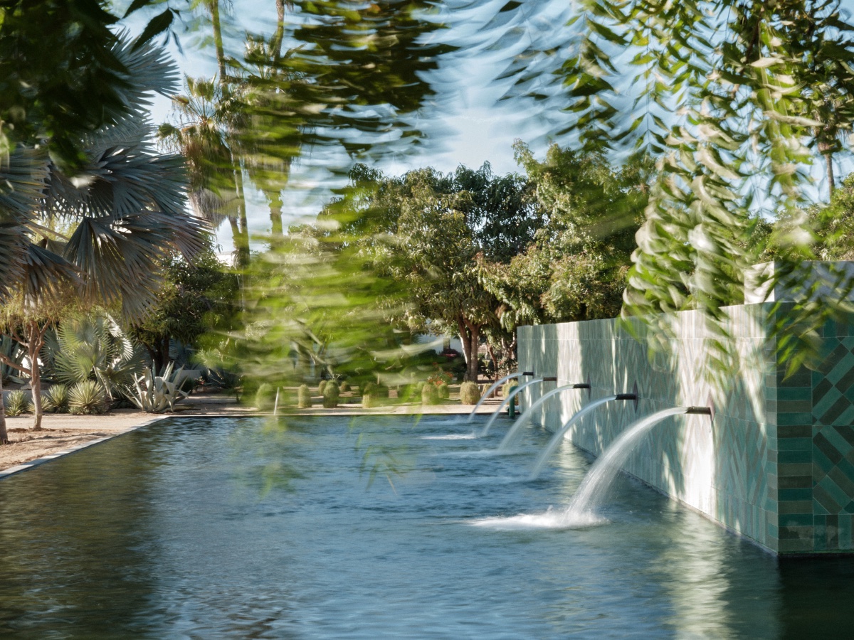 Rancho Cuatro Patas Baja California Sur