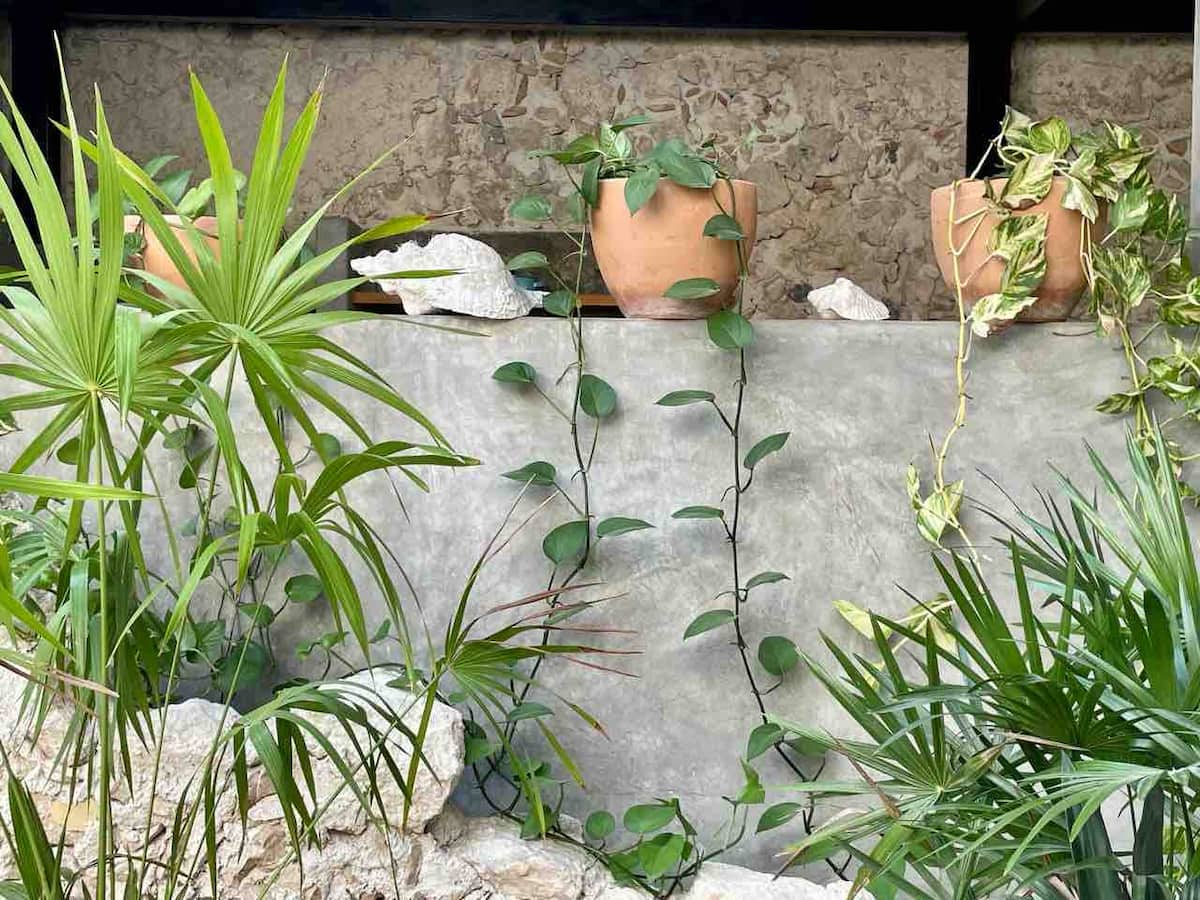 1934 Home Merida & Yucatan