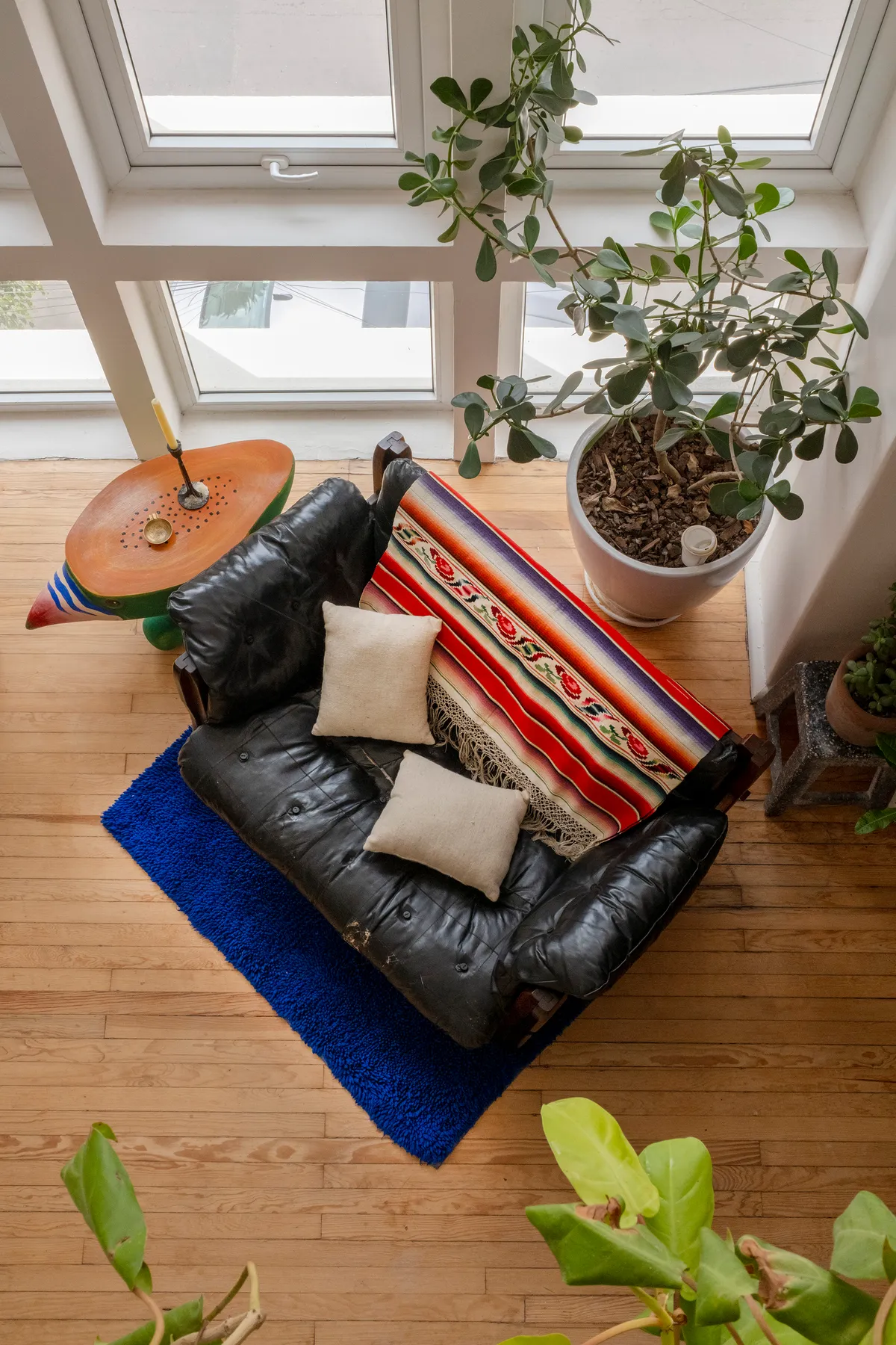 Casa Robina Mexico City