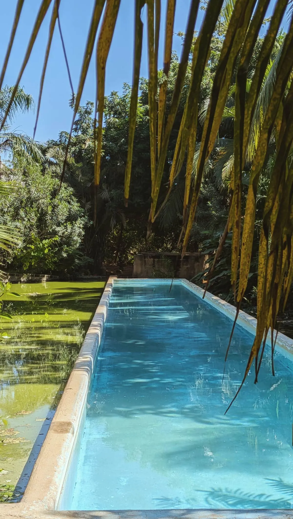 Casa Eva Puerto Escondido