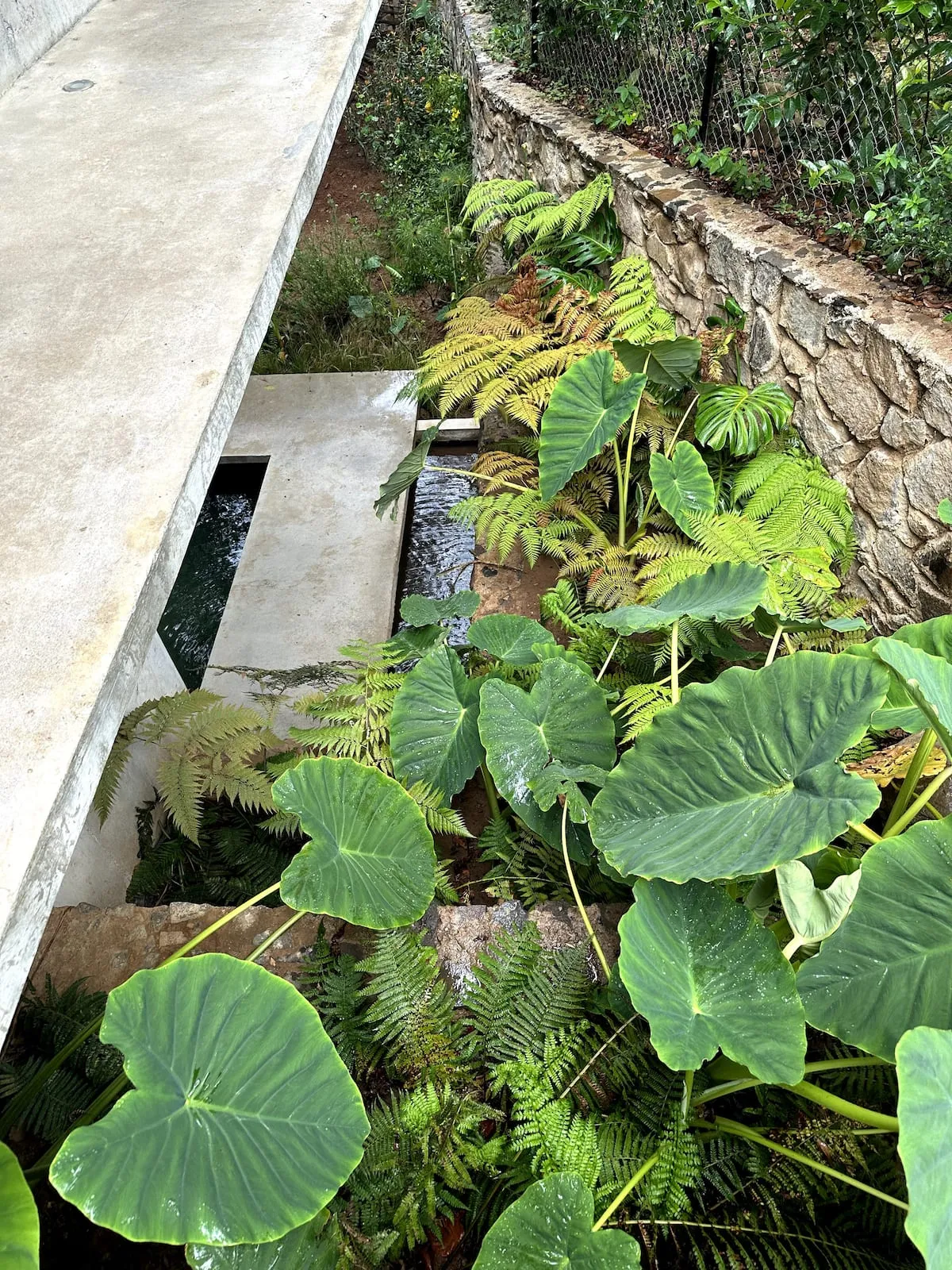 Casa Andon San Miguel & Guanajuato