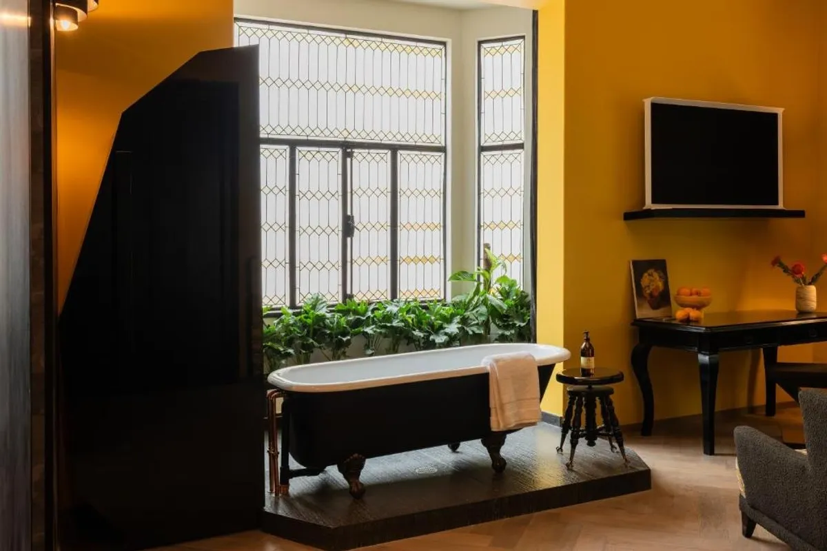 Maison Lezard Mexico City