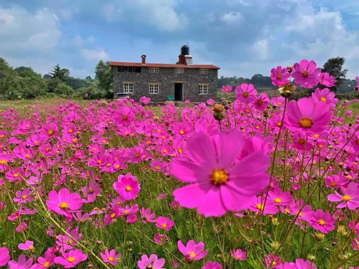 Home in Jilotepec