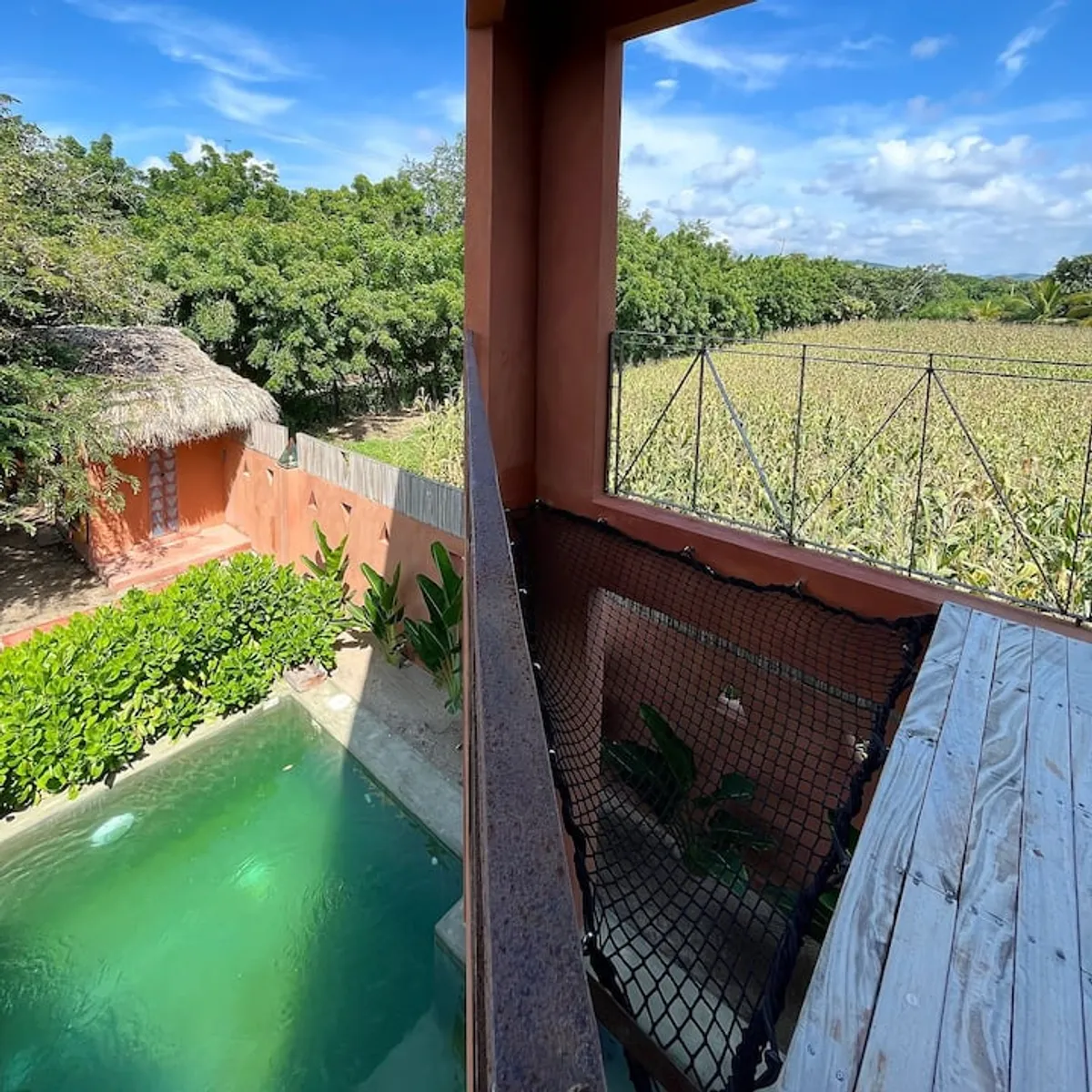 Puerto Caiman Puerto Escondido