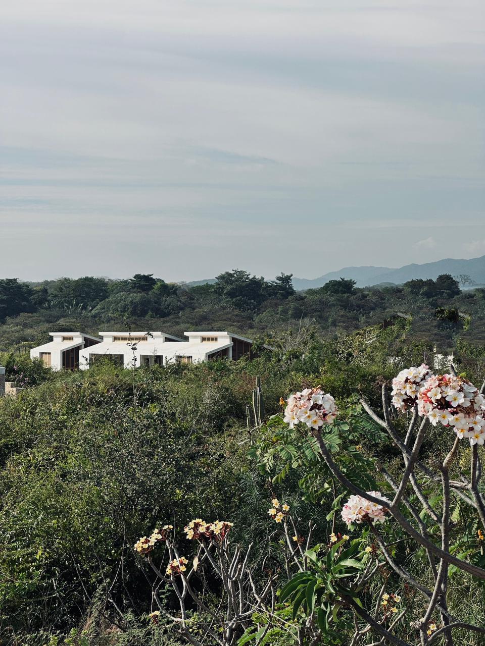 Casa Viento Puerto Escondido