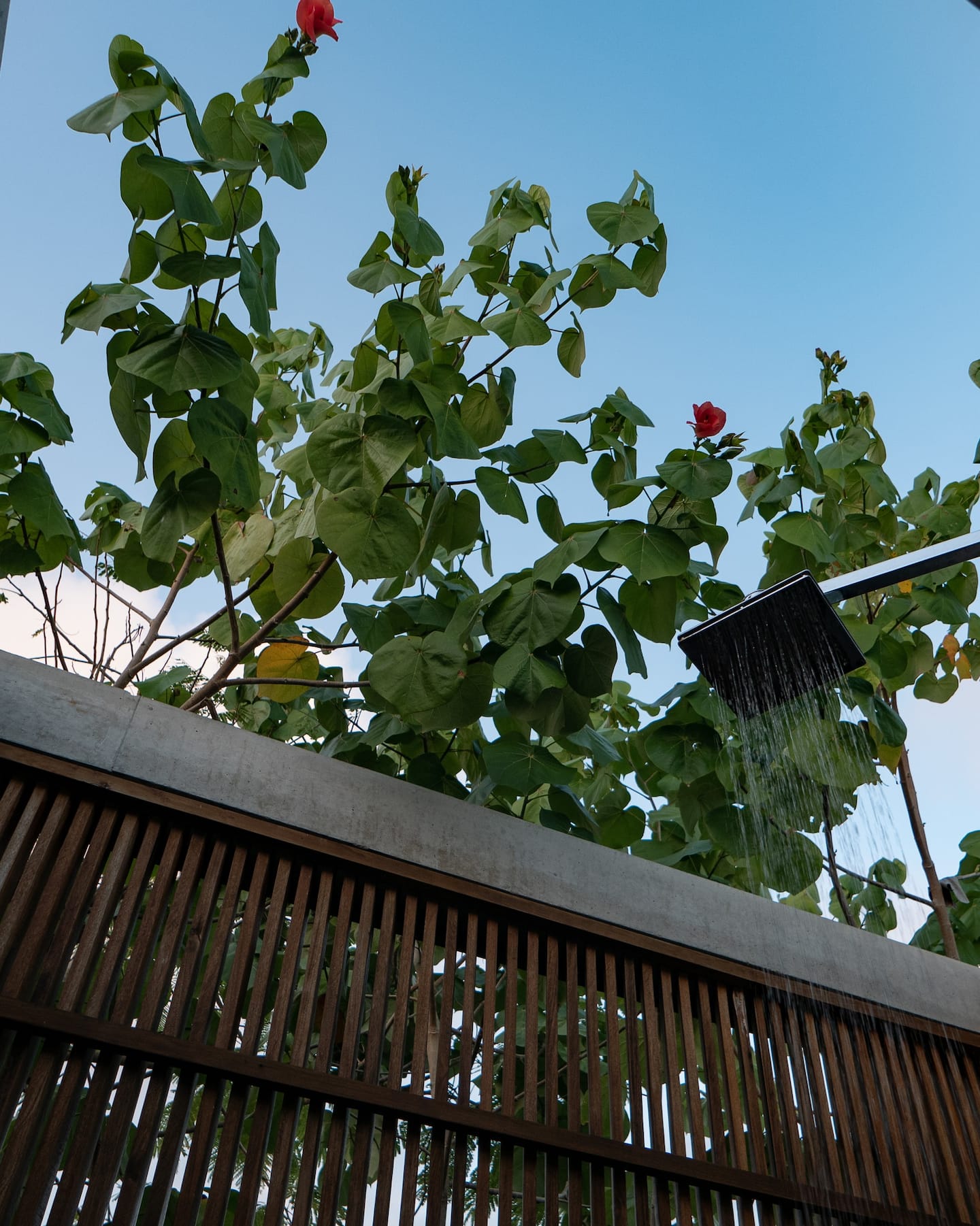 Casa Bacana Puerto Escondido